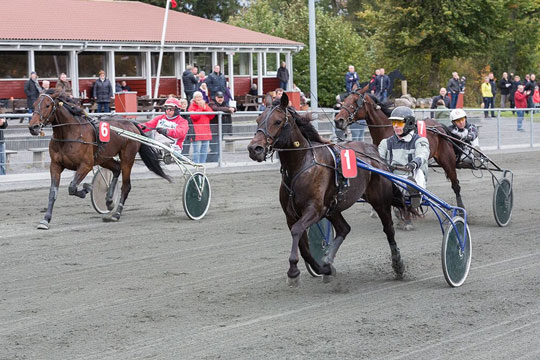 Kampen om championatstitlen spidser til