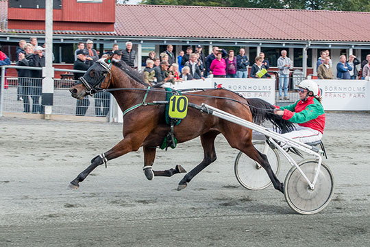 Herlig hoppe har l�bet for sidste gang