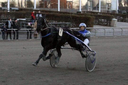 Bornholmersejr i hovedstaden