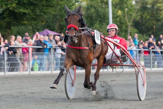 Svenske tipseksperter fik ret om hestene fra Bornholm