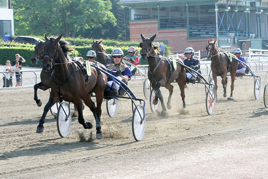 Bornholmer henter forst�rkning for at vinde championat