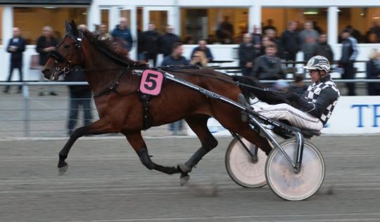 44 bornholmske anparter i travheste til en million