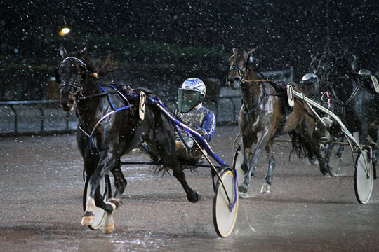 Derbyvinder solgt til Bornholm