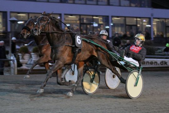 Dobbeltsejr til delvis bornholmskejede travheste i K�benhavn