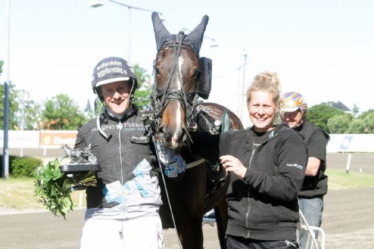 Bornholmsk sejrshest har problemer