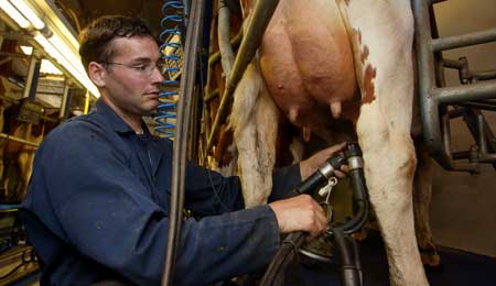 Intet jubel�r for m�lkeproducenter