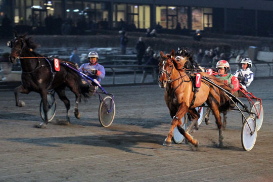Tre bornholmske Top 3-placeringer i Lunden 