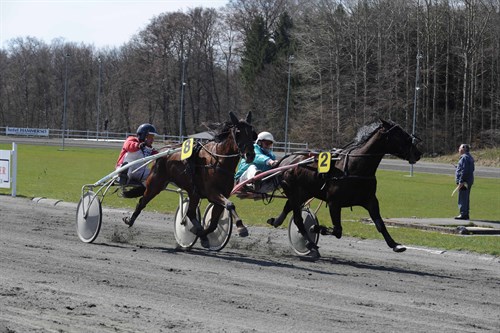 Travsportens nestor s�tter hest p� transferlisten