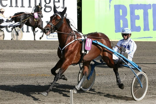 Derbyvinder fin under rytter p� travbanen