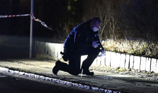 Kriminaliteten falder fortsat p� Bornholm