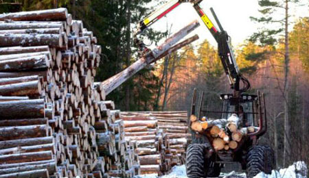 Sigtet for at stj�le 200 kg tung kvasgrab