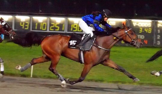 Montespecialist skal snart tilbage i sulkyl�b