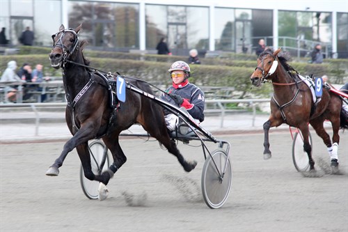 Titel til delejet bornholmsk travhest