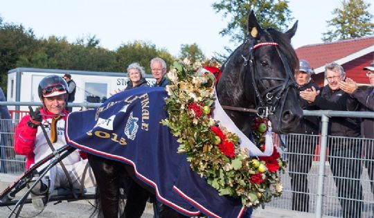 Champion vil ikke have flere heste