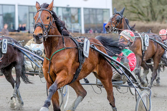 Derbyfinalist flytter til Bornholm