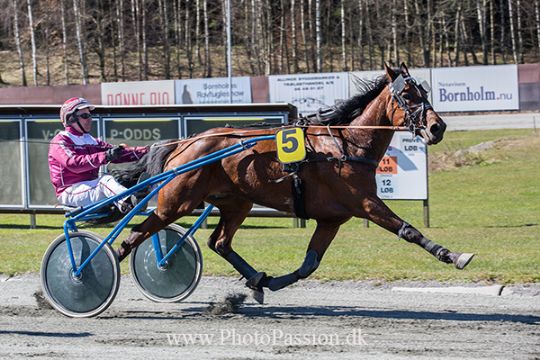 Max Brog�rd kan vinde travbanens �bningsl�b igen