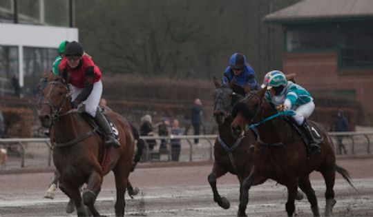 Andenplads til bornholmer i hovedstaden