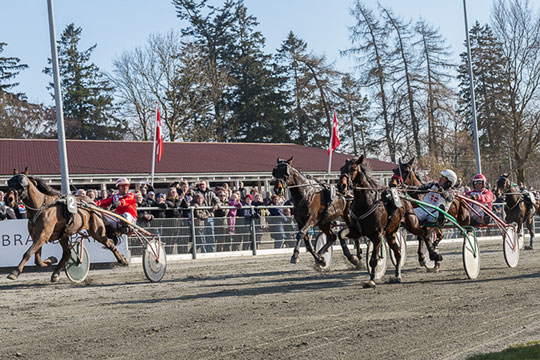 Kun et muleh�r fra jackpot p� �bningsdagen