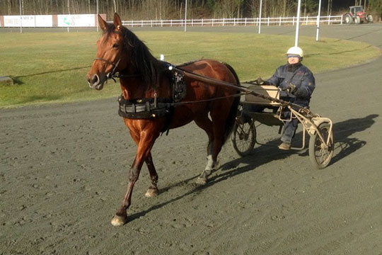 Gensyn med travbanen efter 10 m�neders frav�r