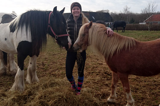 Smedeg�rdens rideskole genopst�r