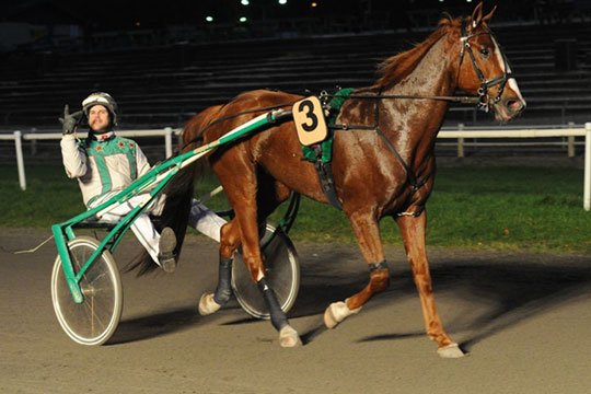 Ny hest skal v�re andelshest