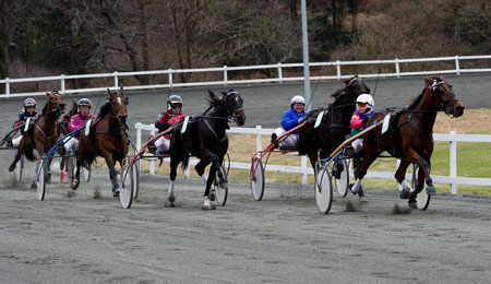 Har opgivet at ombygge travbanen