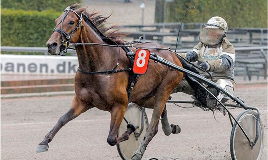 Lundentr�ner gl�der sig til debut med Belphegor