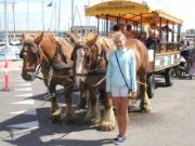 S�ger st�tte til Nex� Omnibus