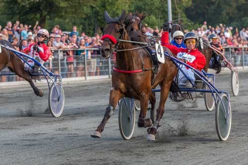 Champion forventer ikke ny null�sning p� travbanen