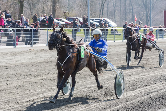 Tung bane gav tr�tte heste p� travbanen