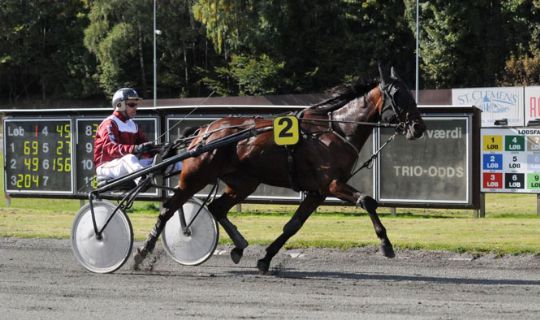 Hest g�r sidste start p� Bornholm p� l�rdag