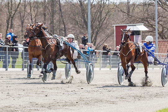 Store overraskelser udl�ste jackpot p� travbanen