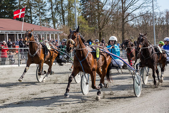 Ogs� solovinder i triospillet p� travbanen