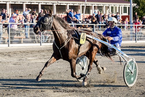 Kim Hjort k�rer den st�rste favorit i dag i V5-spillet