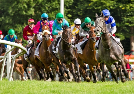 Forrygende banespil hos travbanens samk�ringspartner