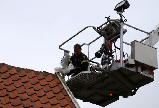 Uheldig m�ge m�tte aflives