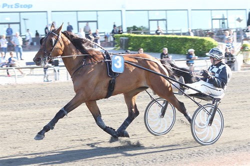 Null�sning til bornholmers derbyh�b i s�sondebut