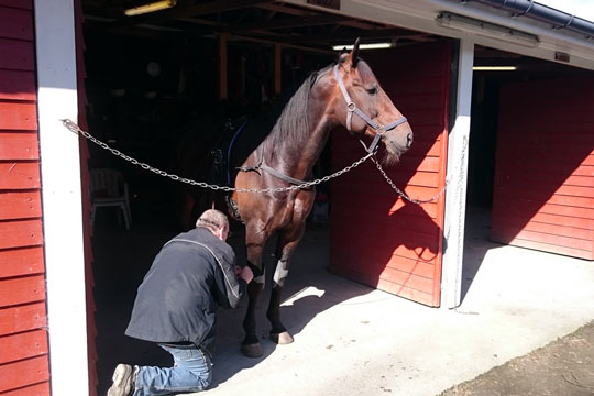 Tidligere champion k�rer Open i Bornholmsdebut