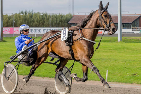 Bornholmer overlader hest til skibonit