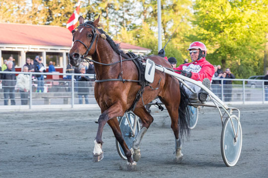 Storfavoritten Lamott besejret