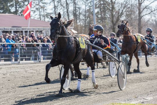 Dobbelt bornholmsmester klart st�rste V5-favorit