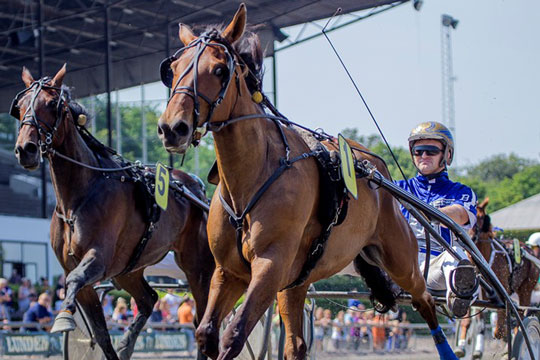 Bornholmer skrev travhistorie l�rdag