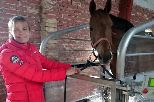 Heste kan f� aquatr�ning