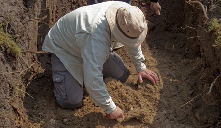 Museum �nsker ekstra driftstilskud