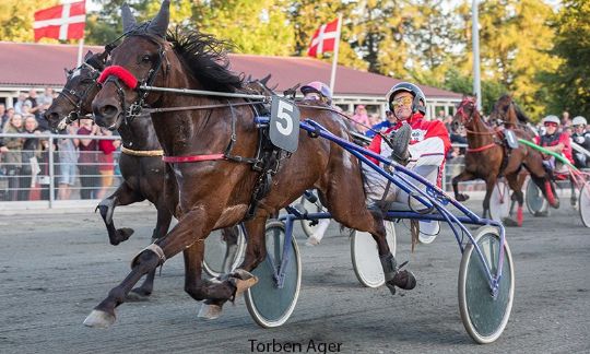 Mass�r skal g�re champion klar til l�b i dag