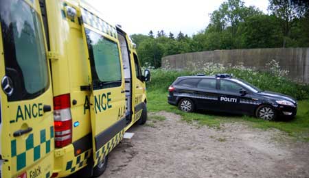 G�rdejer faldt ned fra stillads