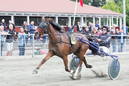 Flere specielle l�bsafviklinger p� travbanen