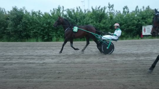 Open til svensk specialist efter ondt i venstre bagkn�