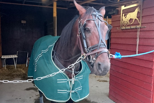 En modstander mindre til Open