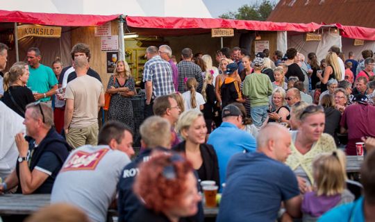 Billig weekendbillet til havnefest
